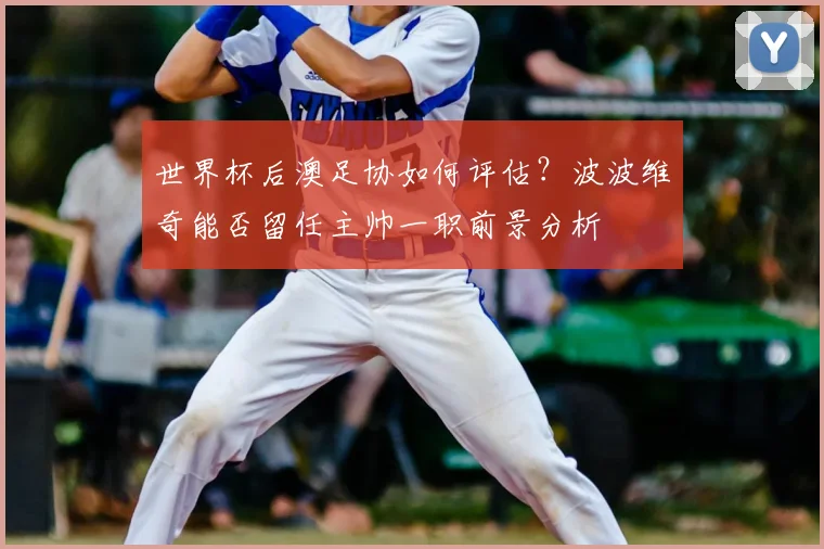 世界杯后澳足协如何评估？波波维奇能否留任主帅一职前景分析
