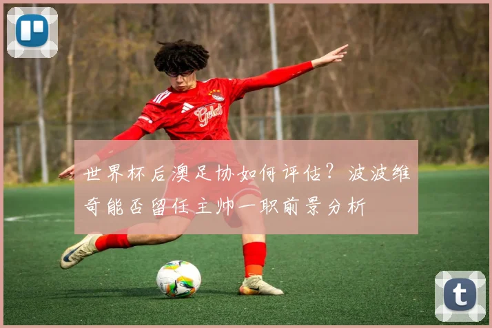 世界杯后澳足协如何评估？波波维奇能否留任主帅一职前景分析